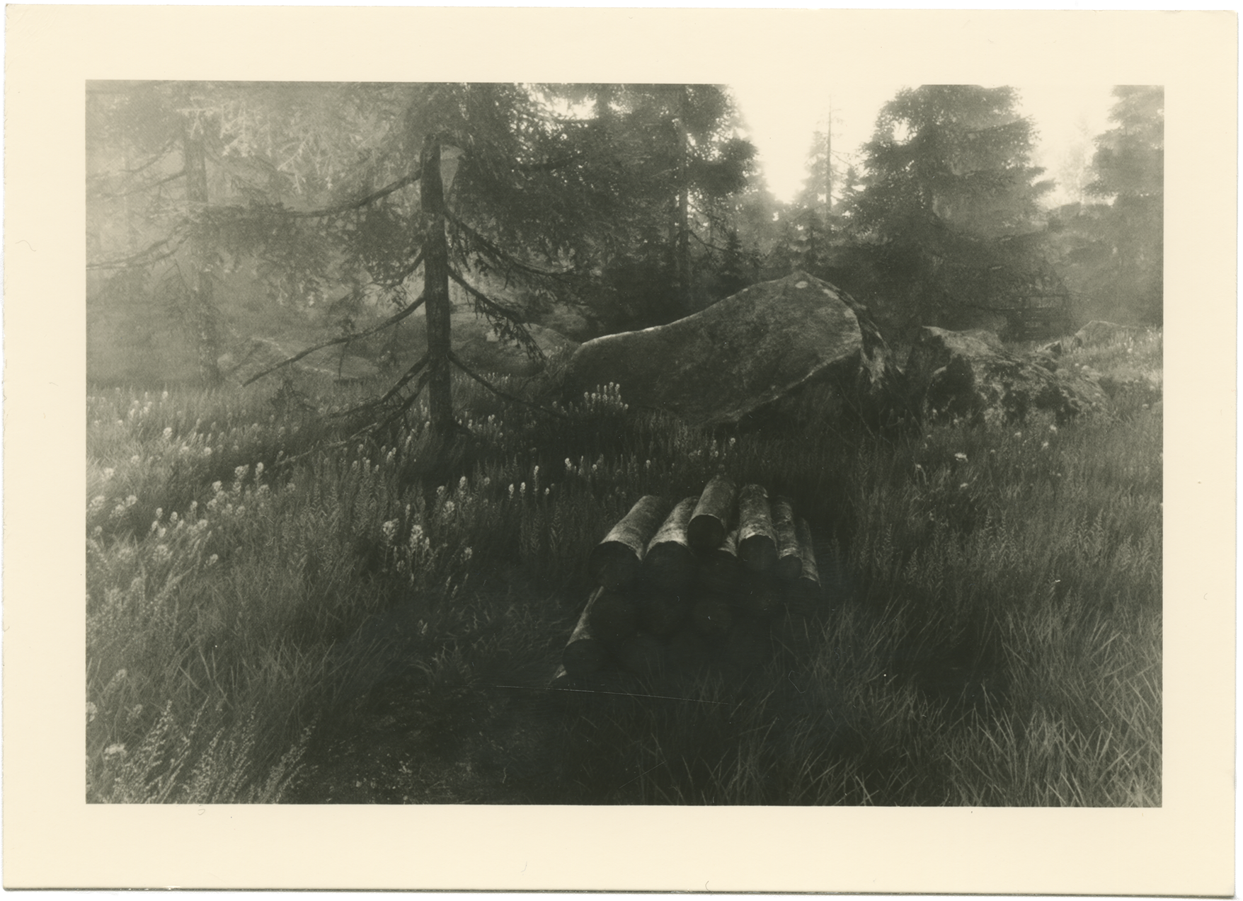 an old photo of a horse