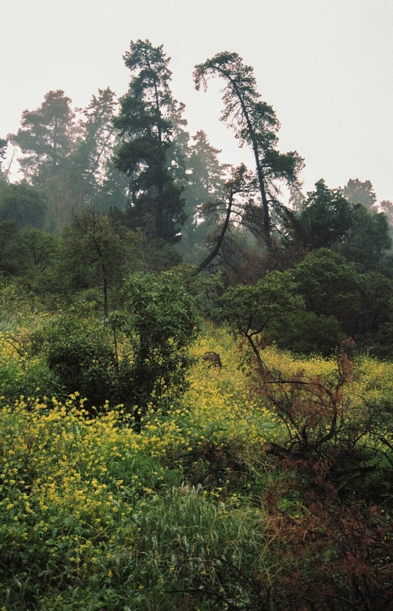 Santiago de Chile (Solaris) (2016)