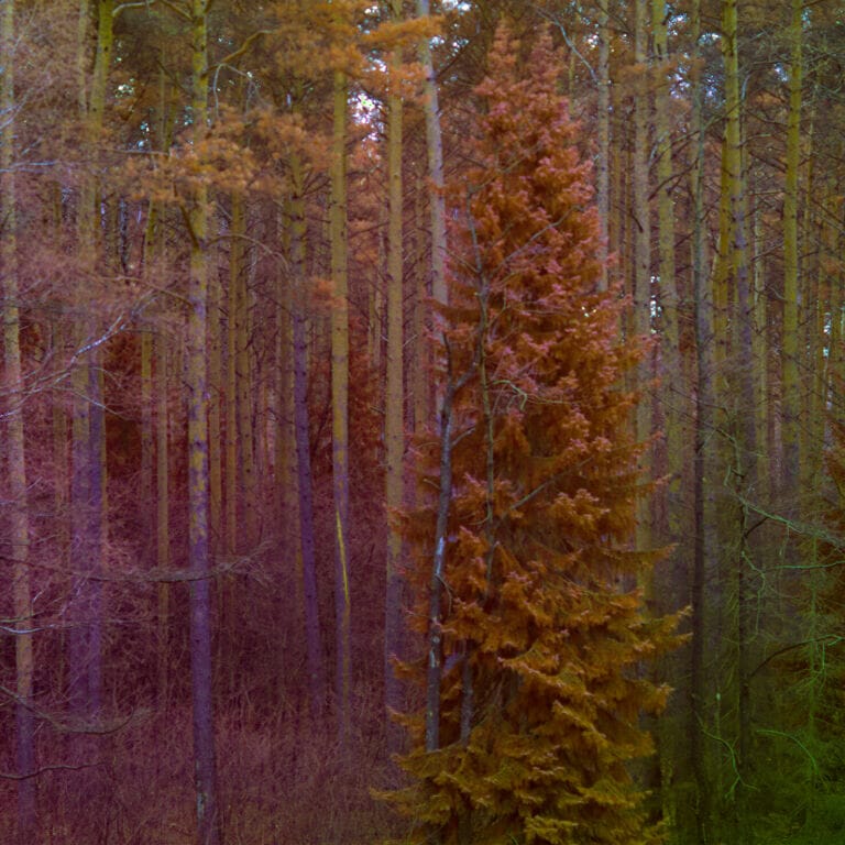 Full Spectrum // Volles Spektrum (2021)