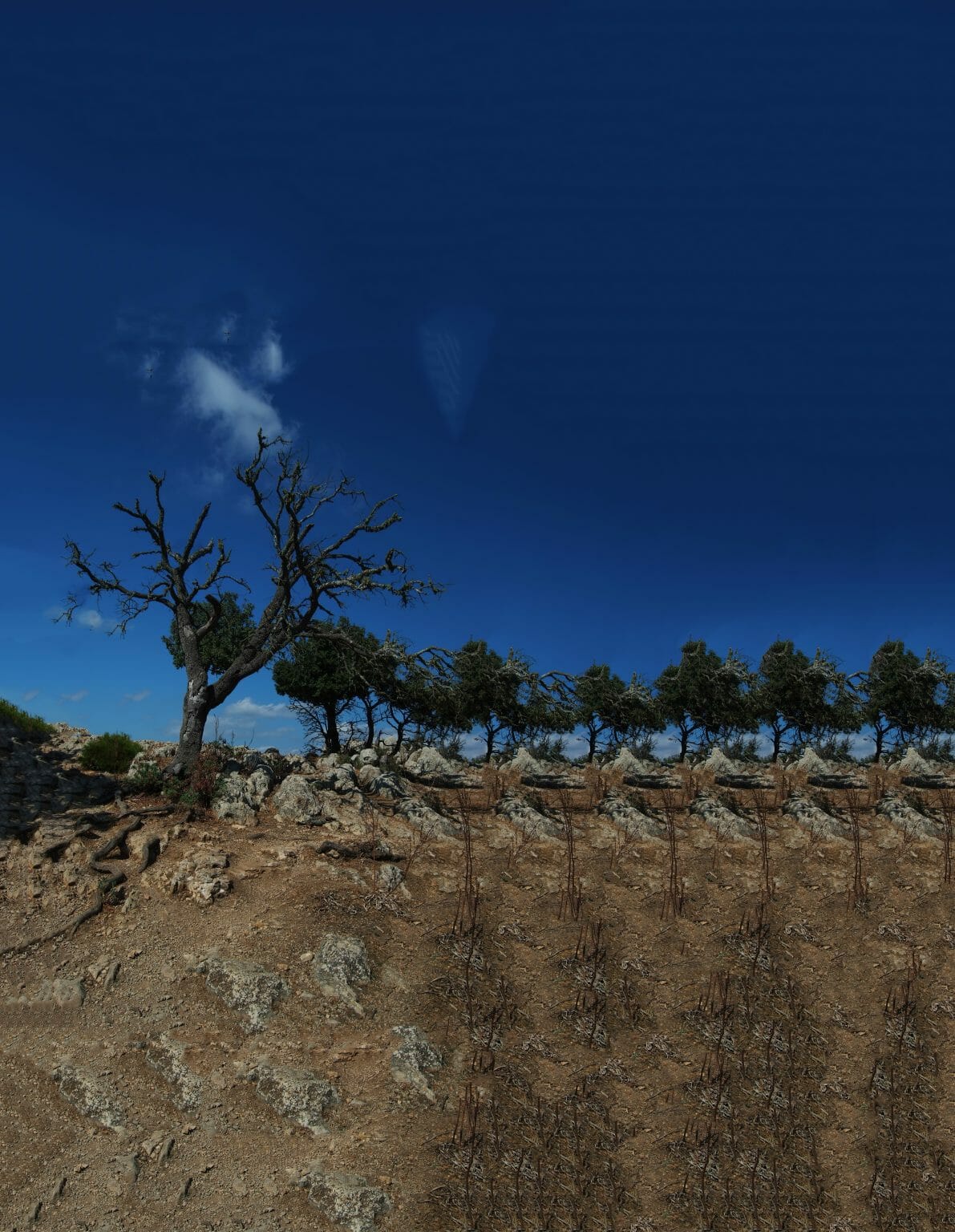 Dscf0830 Edit Enlarged