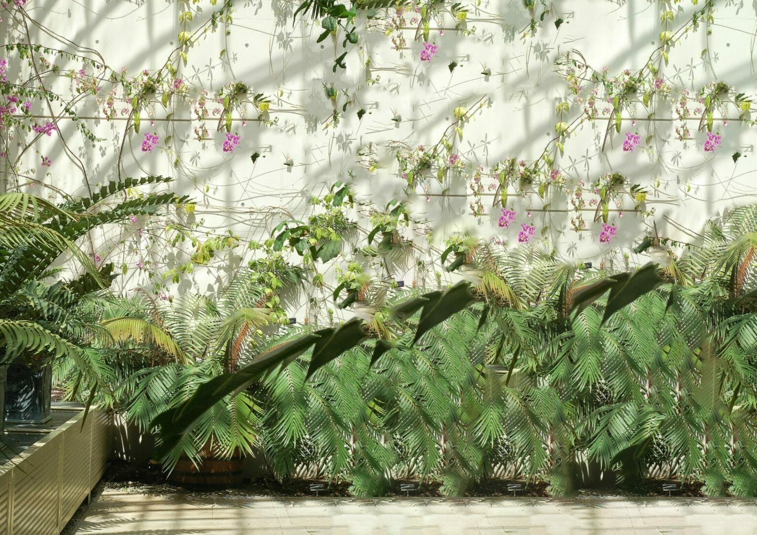 Edit Sharpen Focus 1