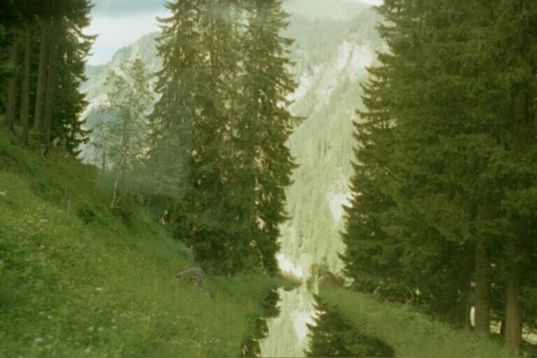 Edited Landscapes::Alps (2017)