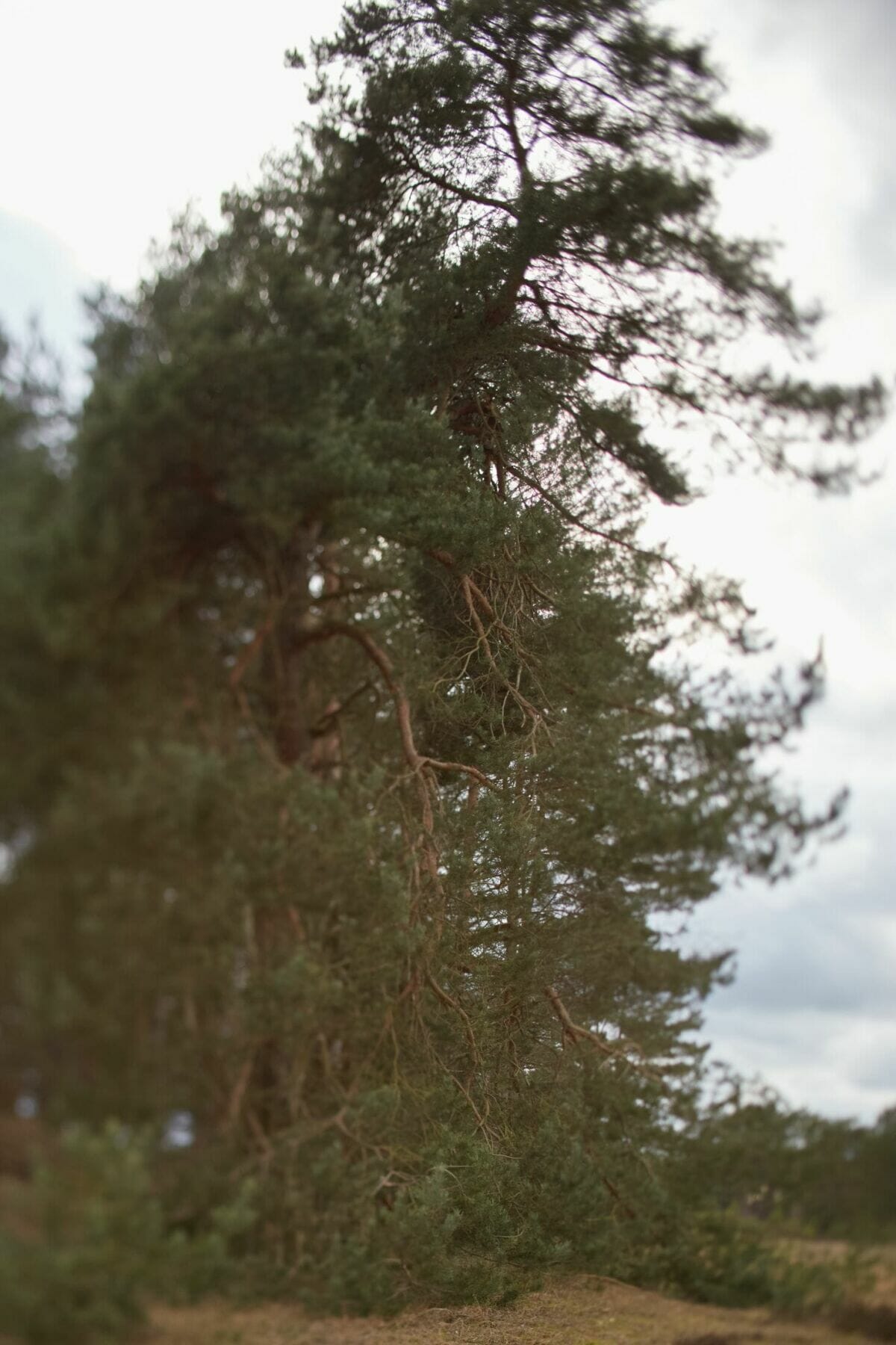 Albrecht/wilke Kunstraum Kunte 2022