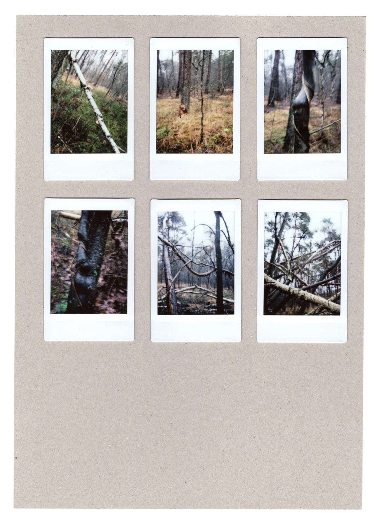 Img20210109 19264995