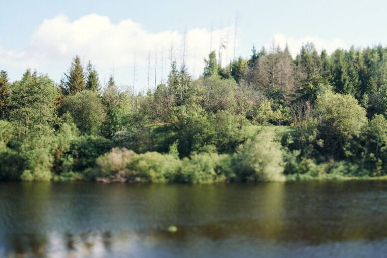 Walk2 – Harz (2024)