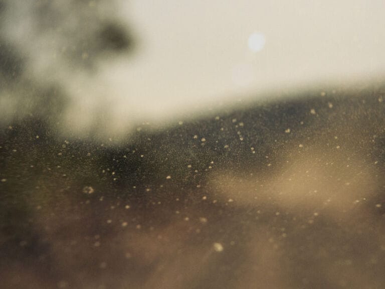 Gibb River Road #1 (2025)